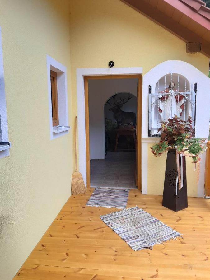 Ferienwohnung Anika Kleinlobming Экстерьер фото